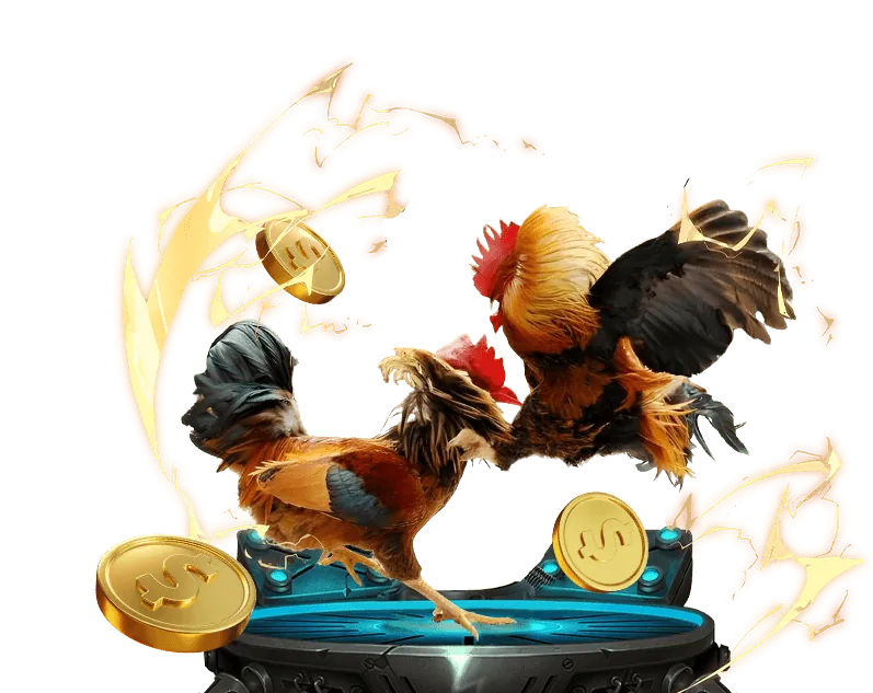 Máy đánh bạc tại bin88 win