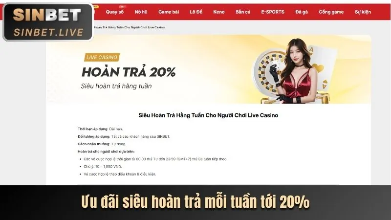 Trò chơi casino trực tiếp với người chia bài thật